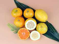 Vitamin C Infused Water