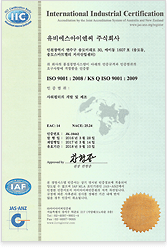 ISO 9001